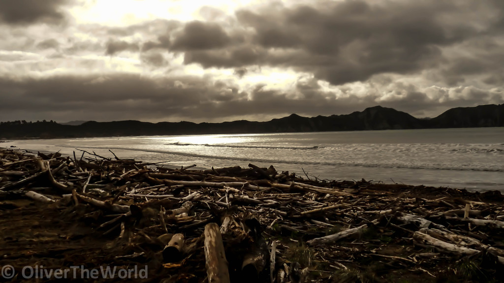 East Cape driftwood